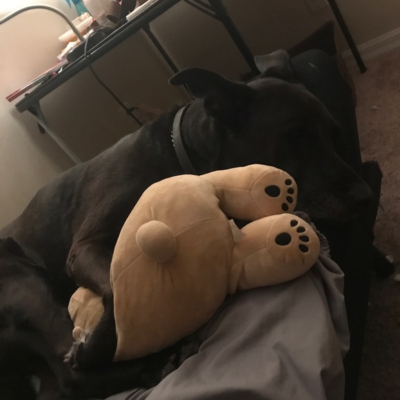 Meet your Posher, Mia - Picture 1 of 1